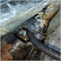 믿음하수구 PC 갤러리 1